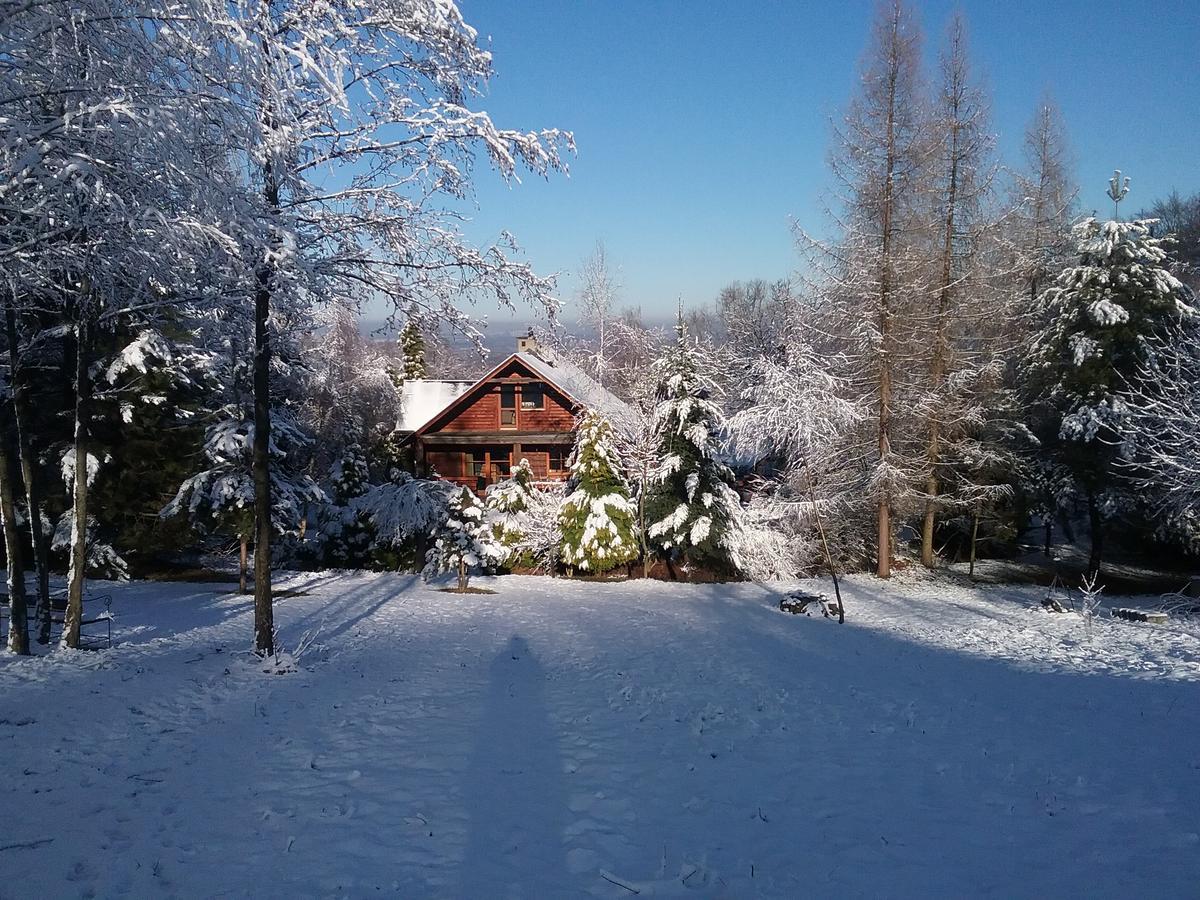 Amigowka Villa Wieliczka Exterior photo