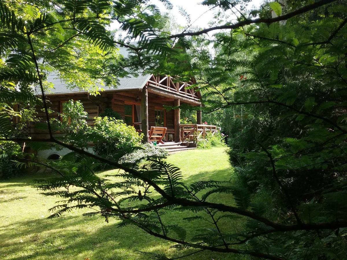 Amigowka Villa Wieliczka Exterior photo